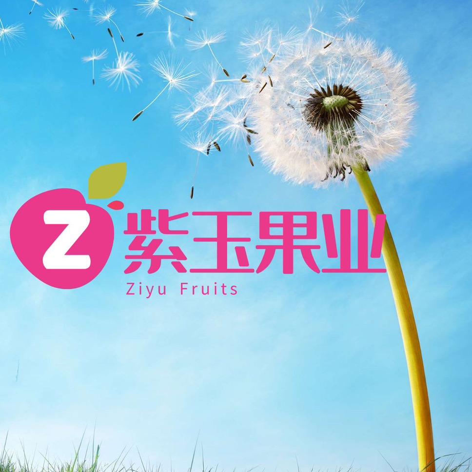 紫玉果业