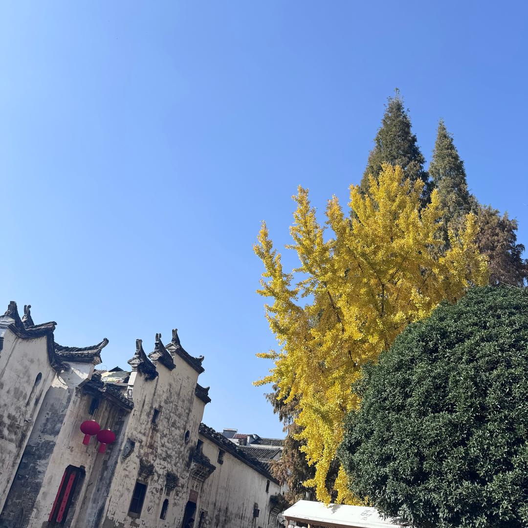 一wang情深° ω ﹏