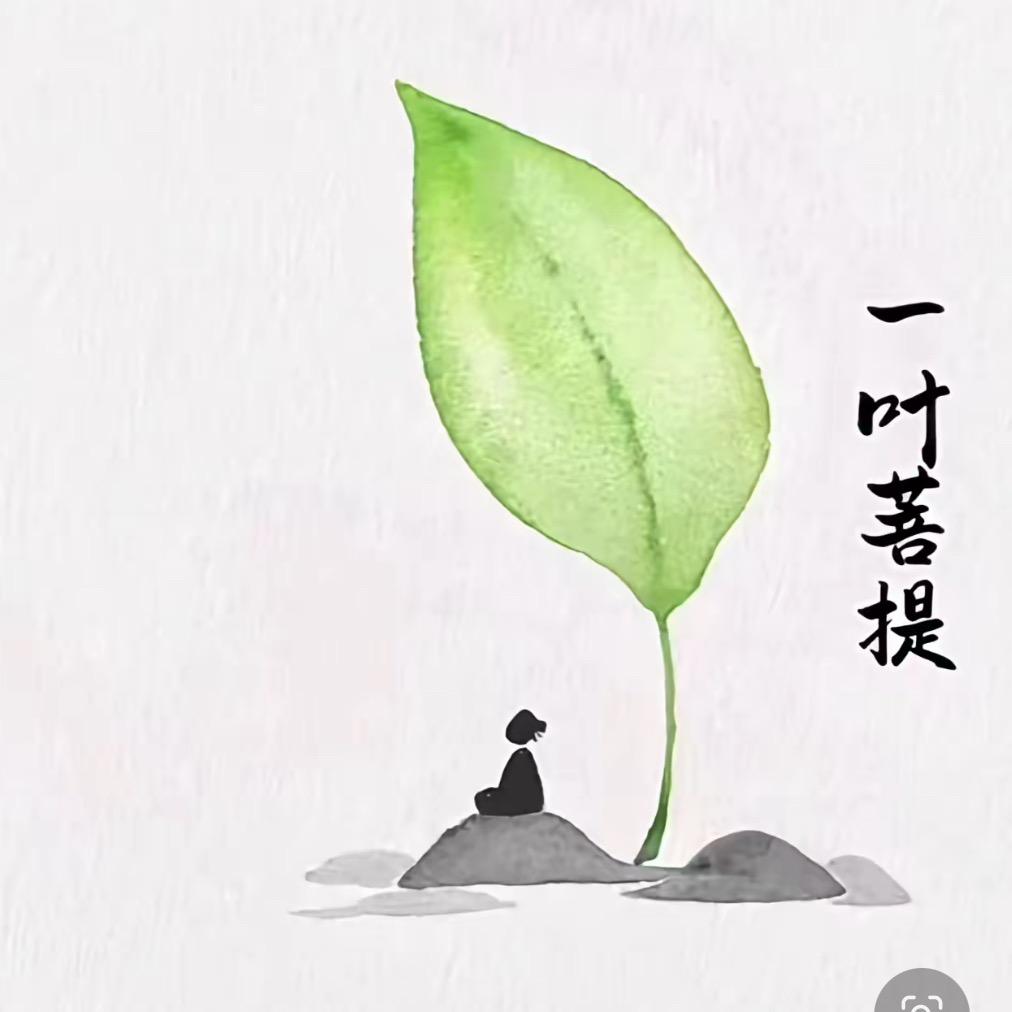 忘忧🌿