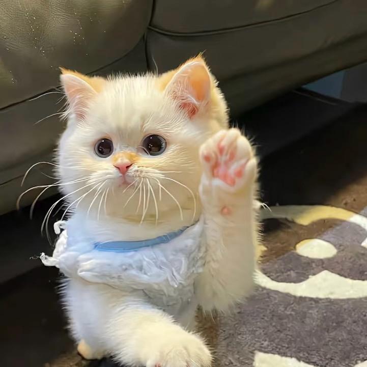 林มีความสุข