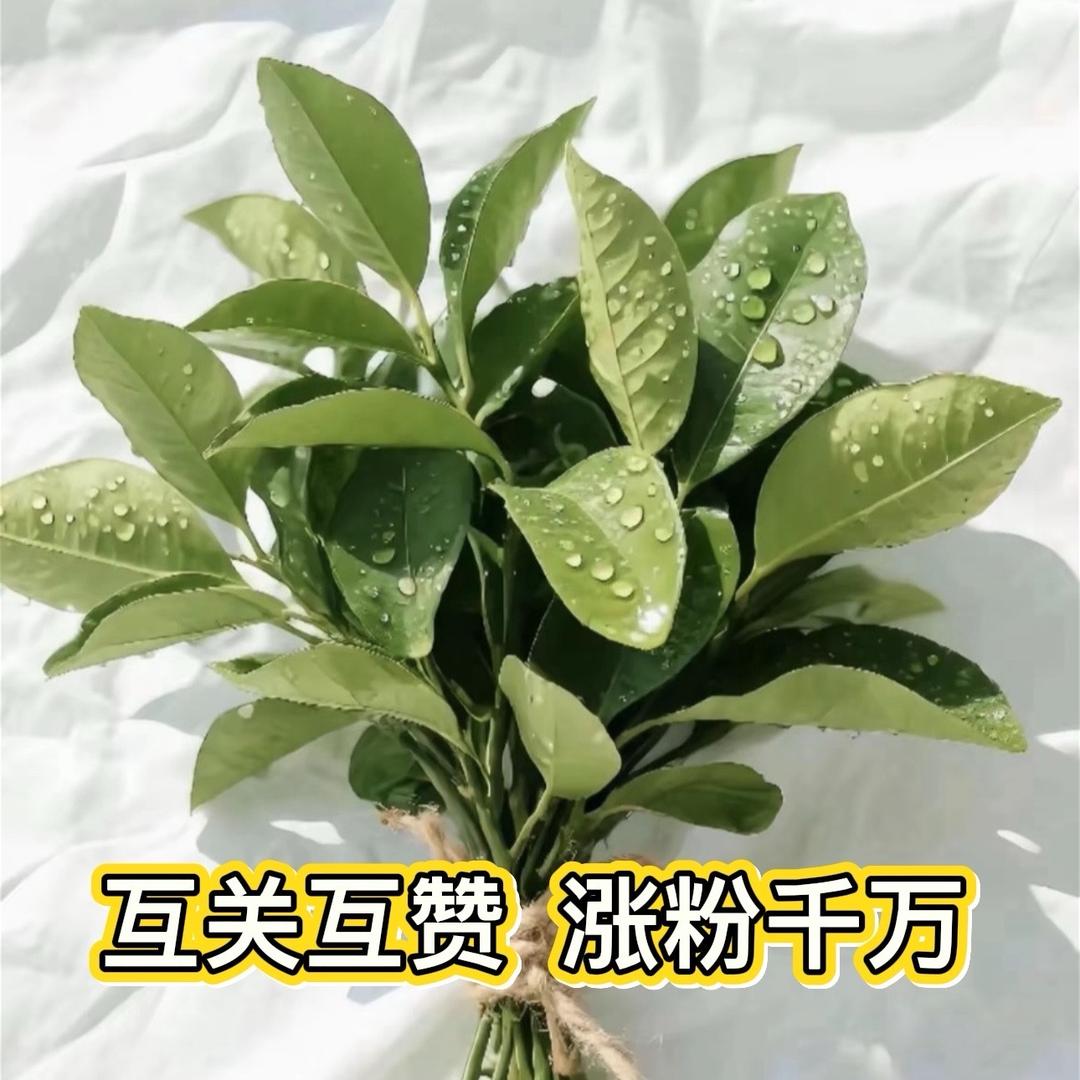 140斤宝妈重生