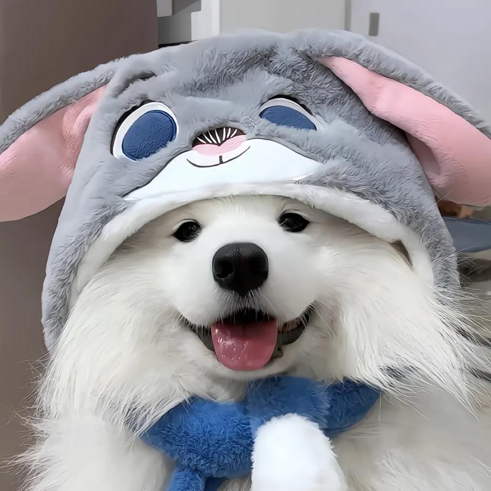 🌈李子木