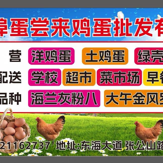 蚌埠蛋尝来鸡蛋批发