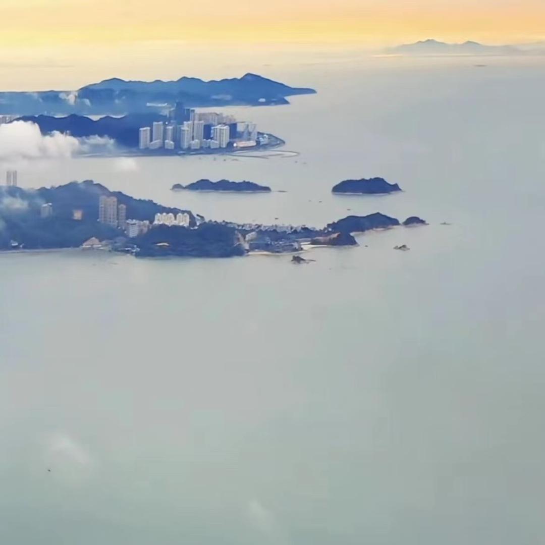 晕水的鱼