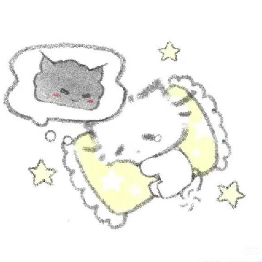 睡觉大王