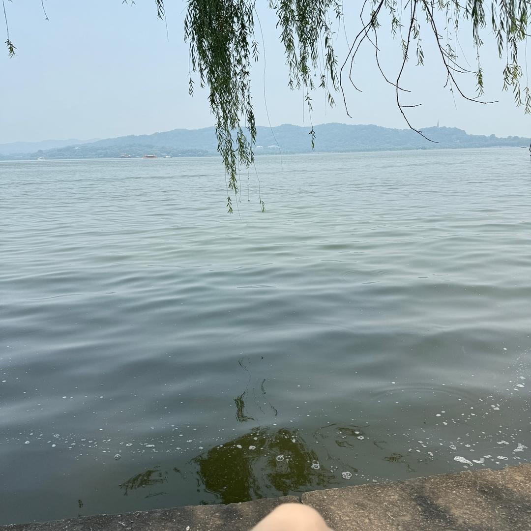 AAAAA每日鲜水果店小美