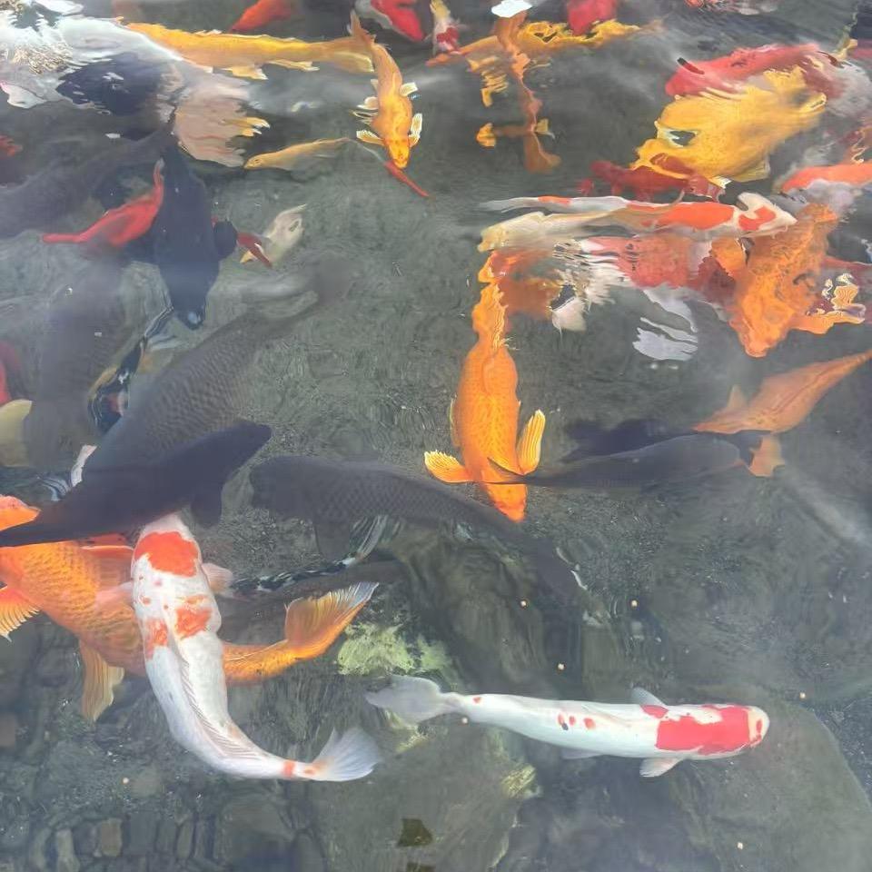 周然2