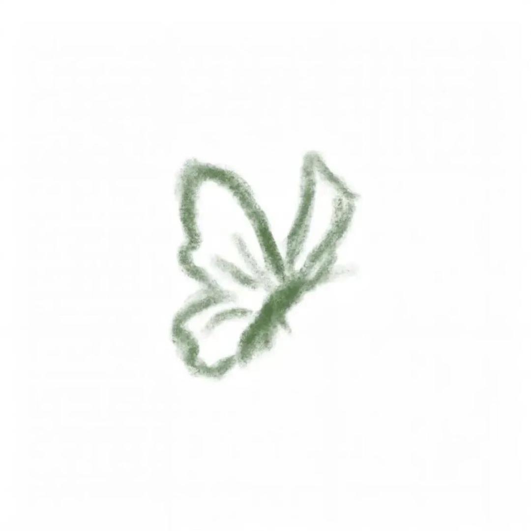 程不是橙