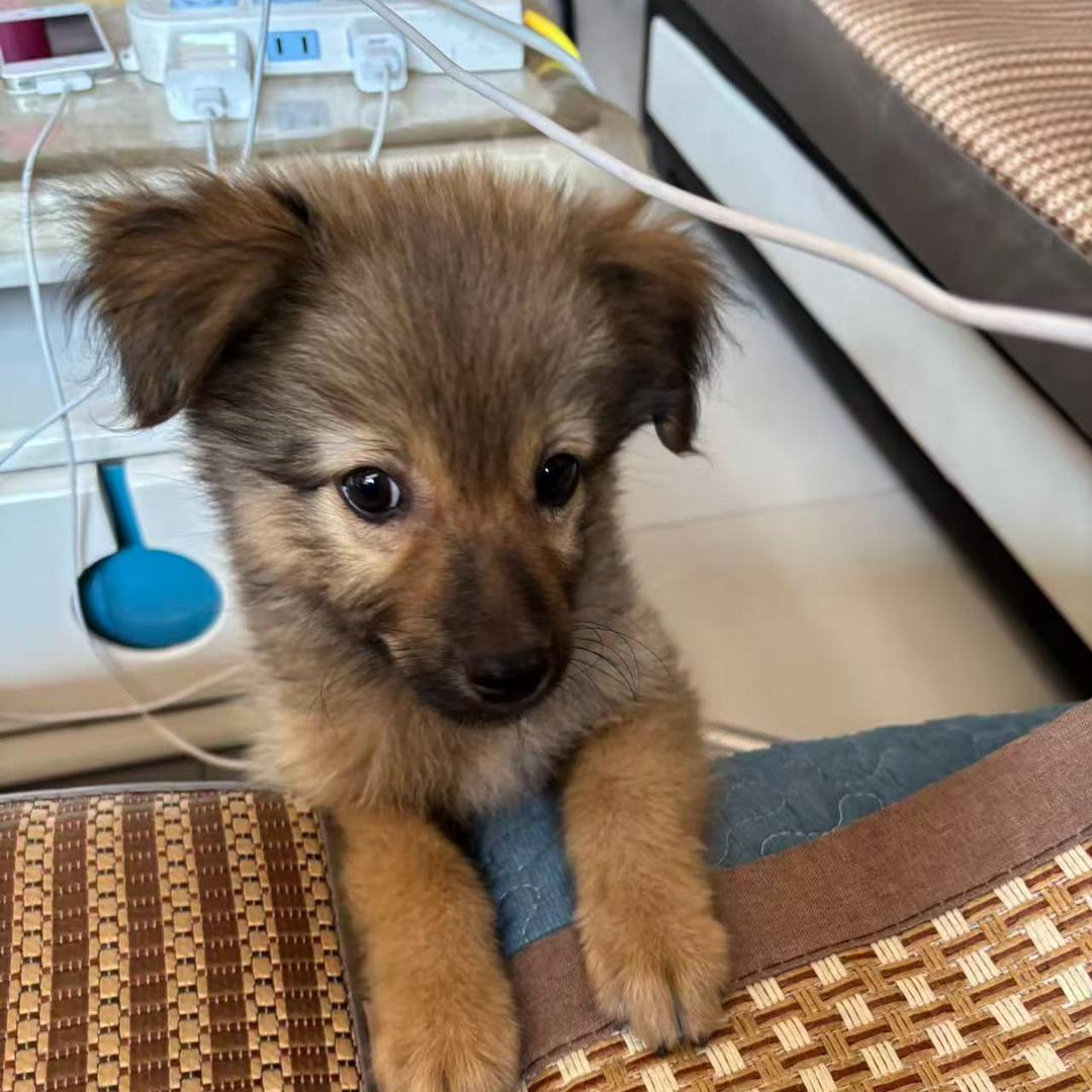 花生毛豆凑一桌