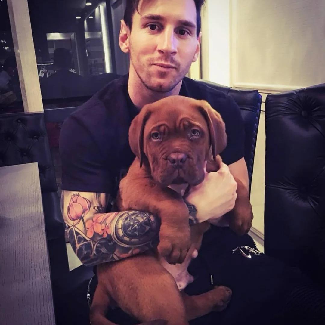 小新遗憾了.🤦