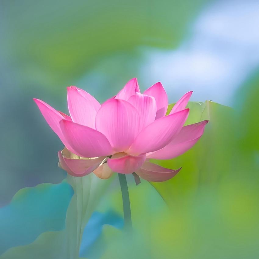 起居有常