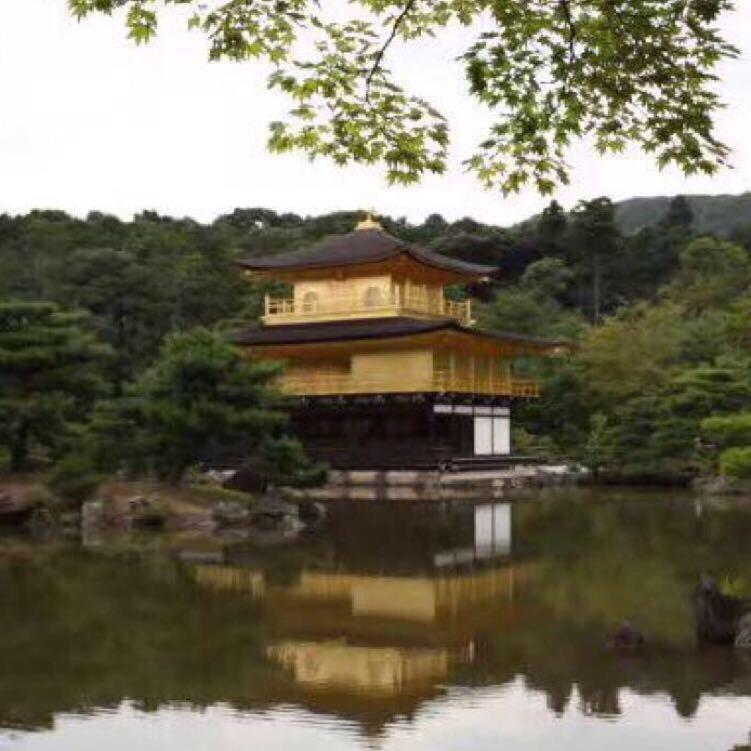 老师聊留学