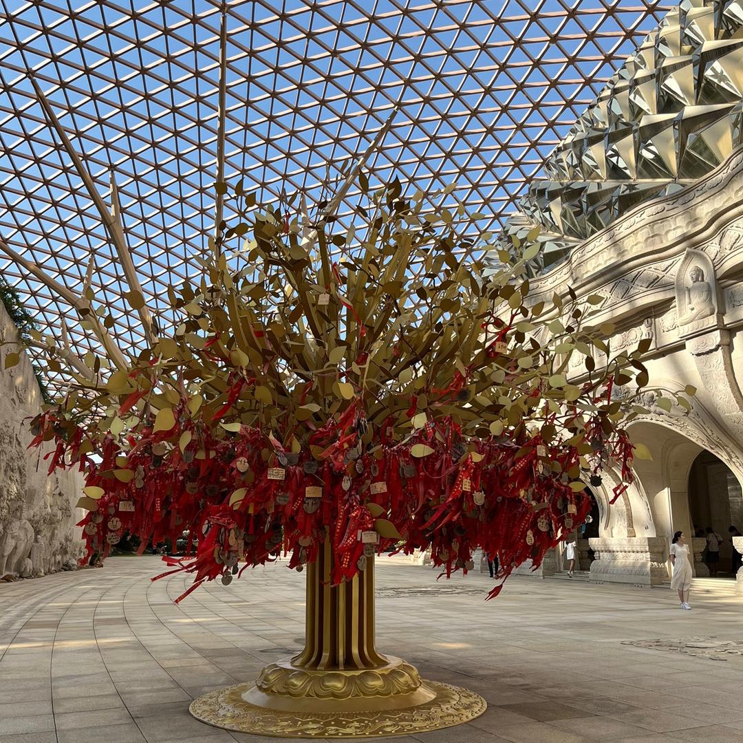 明天会更好🍎🌹