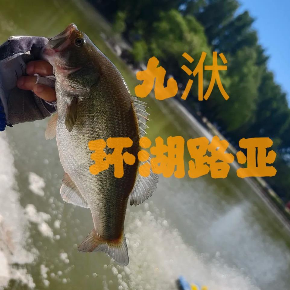 九洑环湖路亚官方号