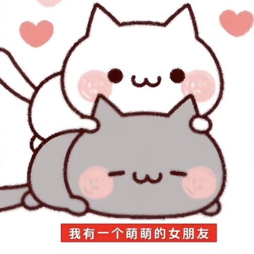 赵鑫慧是我一辈子女神