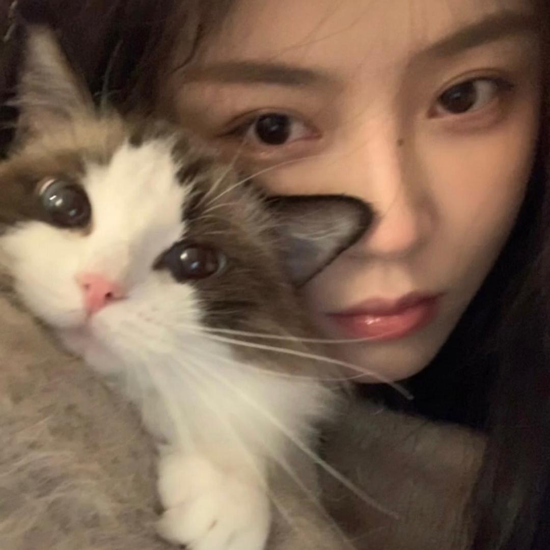 QIN-