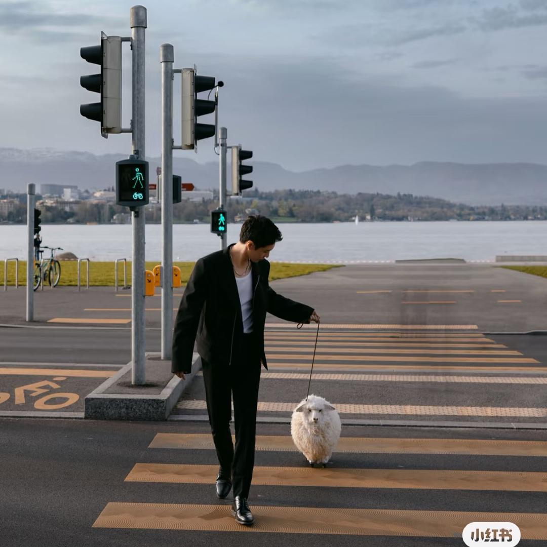 🐻关于小熊