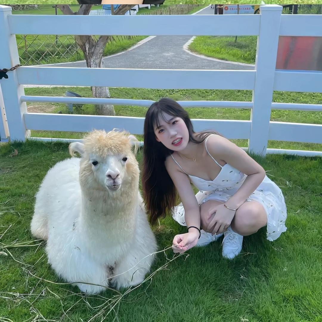 香的情绪才不会坏