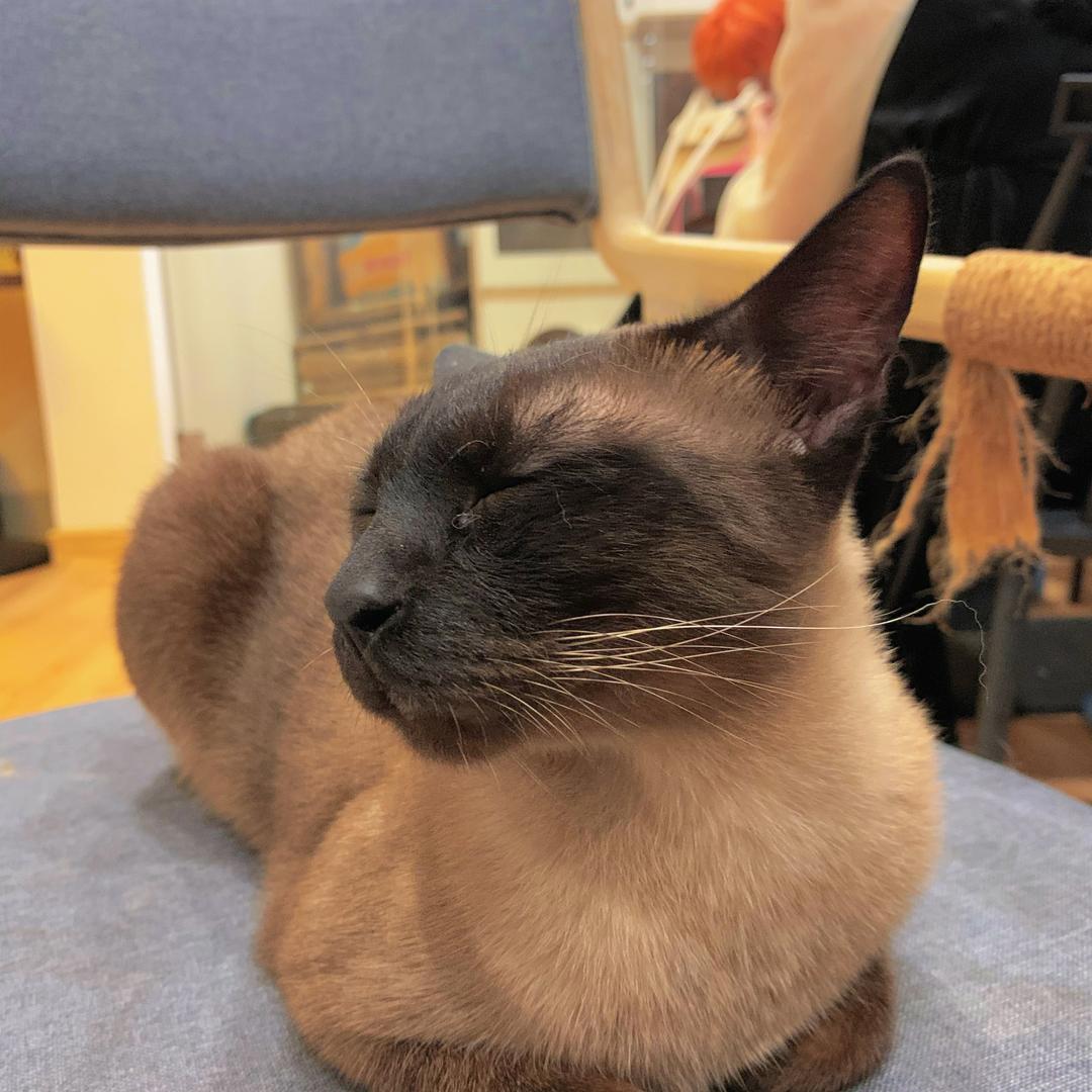 全世界最幸运的人