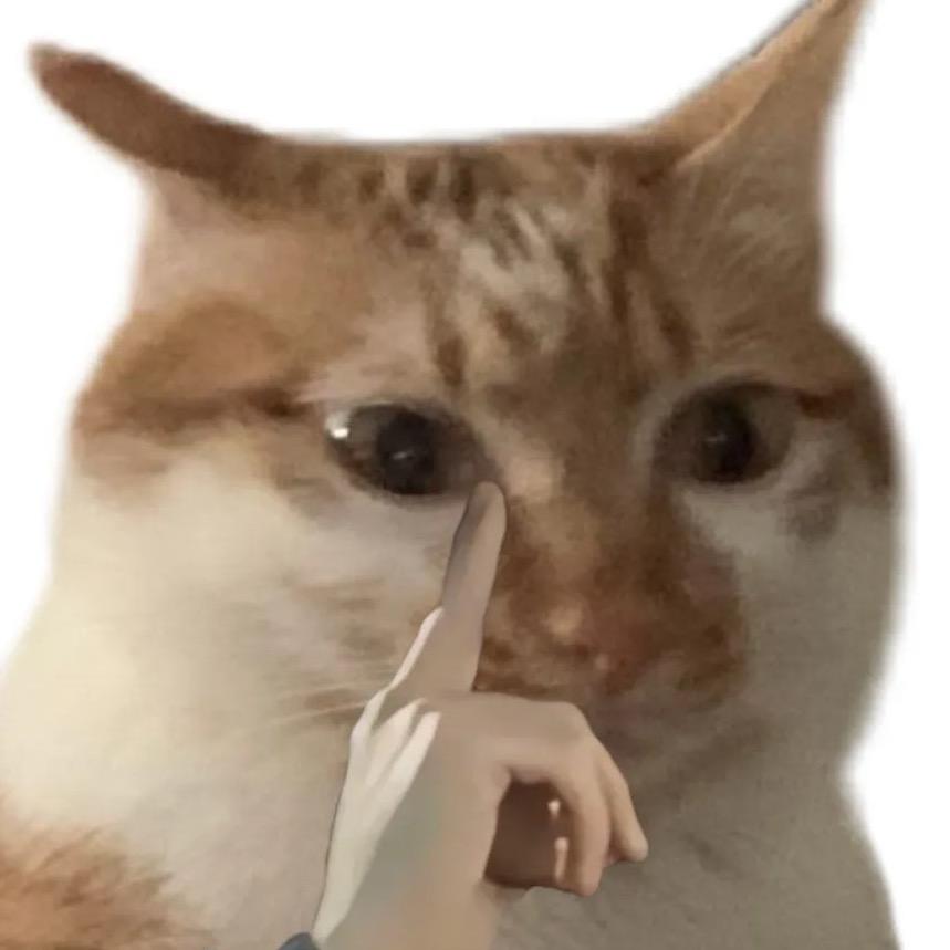 一只小胖胖