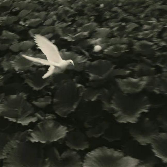 真空瓶