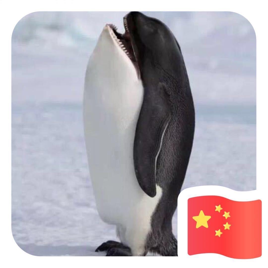 大鱼侃车
