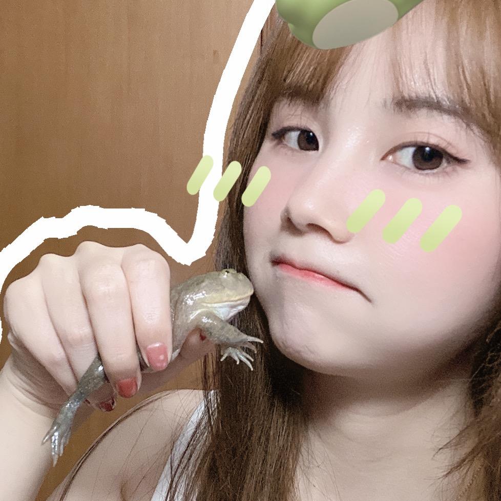 芊芊家的爬宠