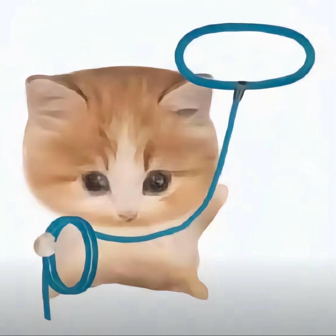 潇洒鱼蛋哥