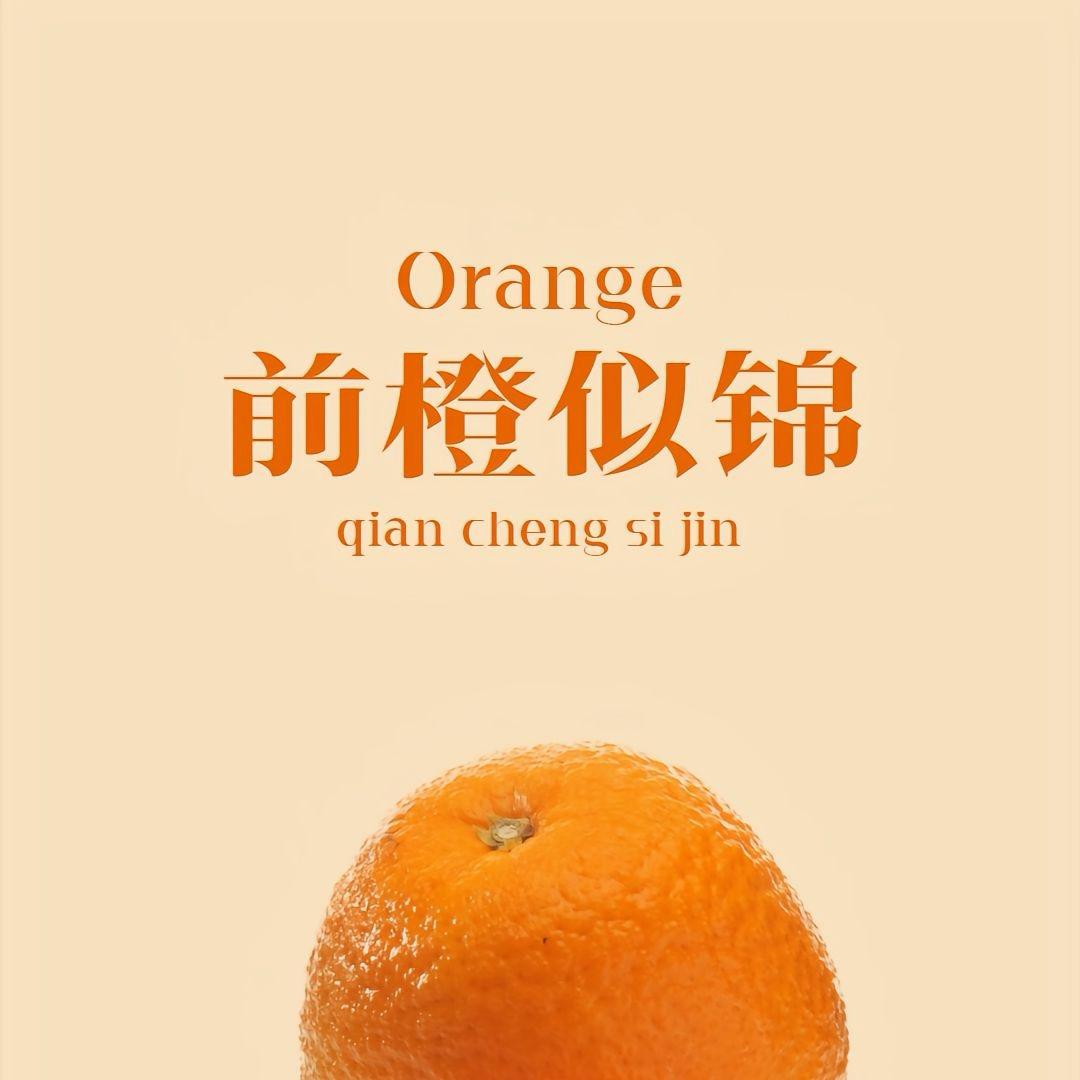 大橙子