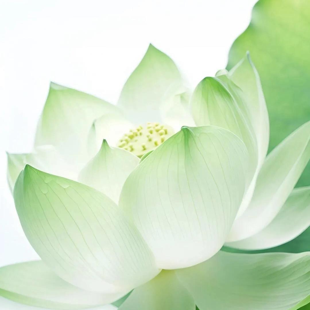 锦安