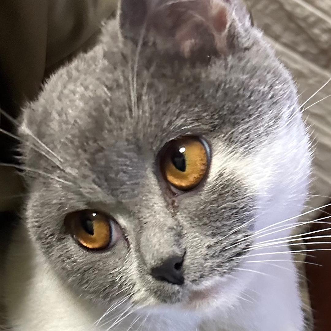 不会拍照的不太好