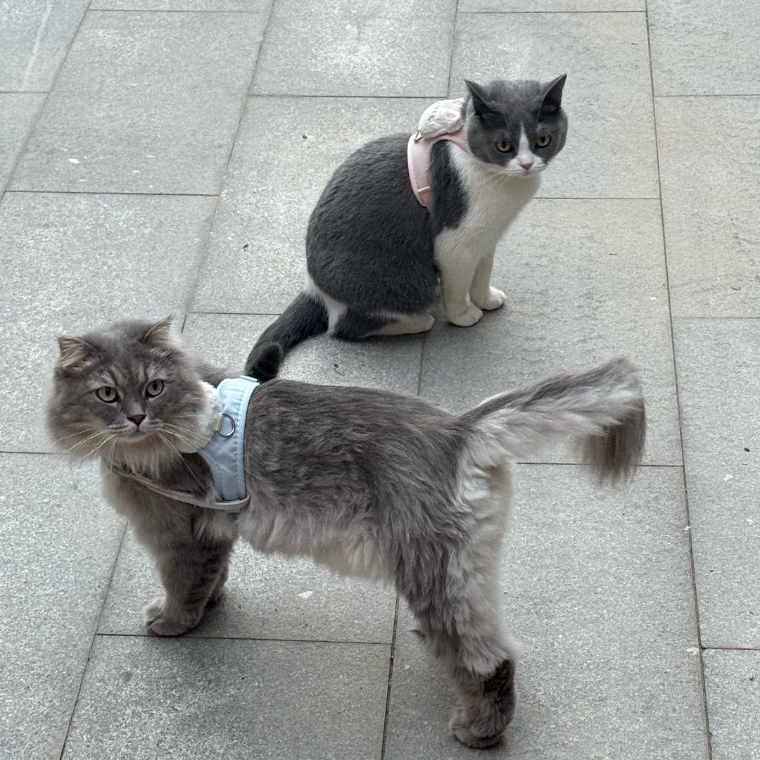 云墨严选挡风被