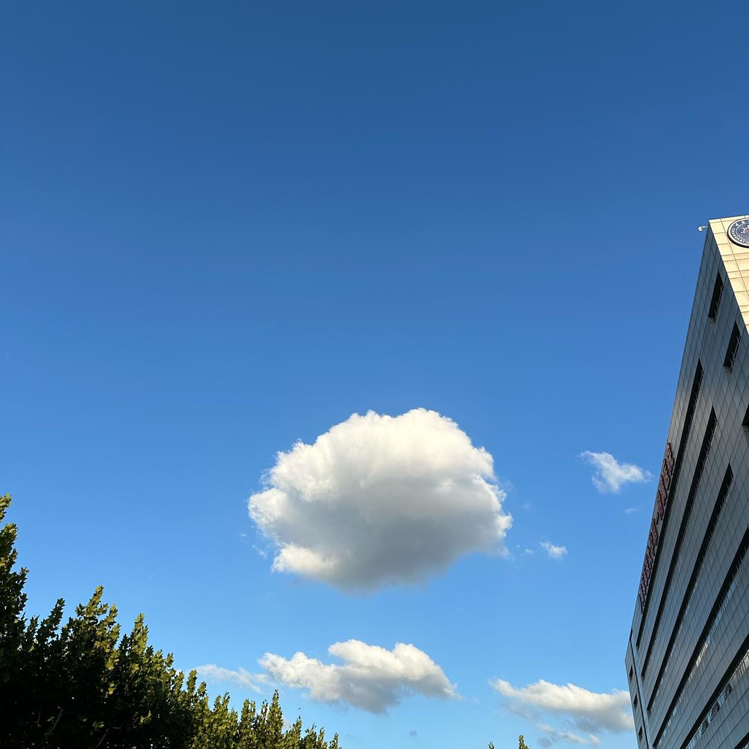 外外