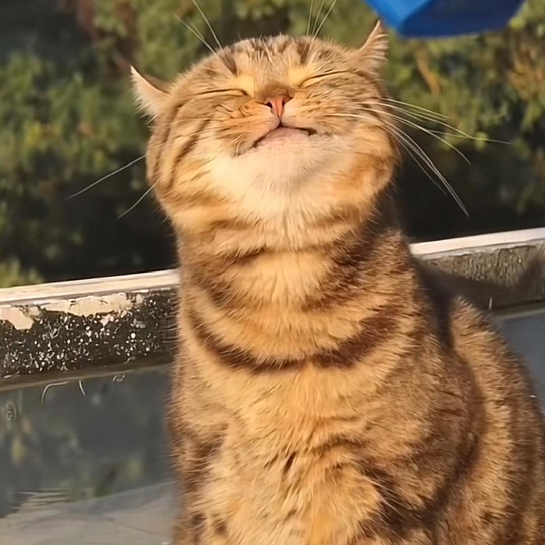 她他它臻选