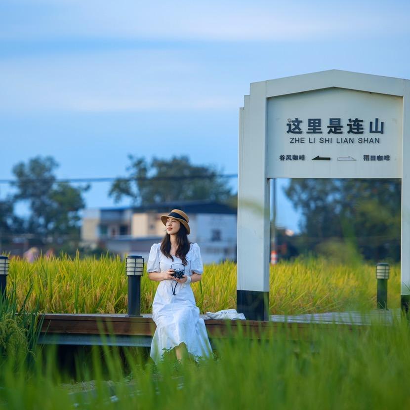 带上猫咪去旅行