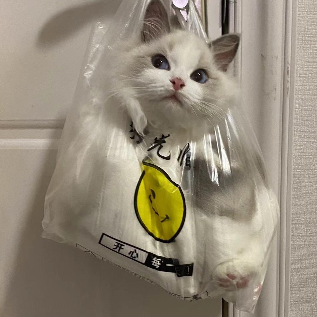 晚安