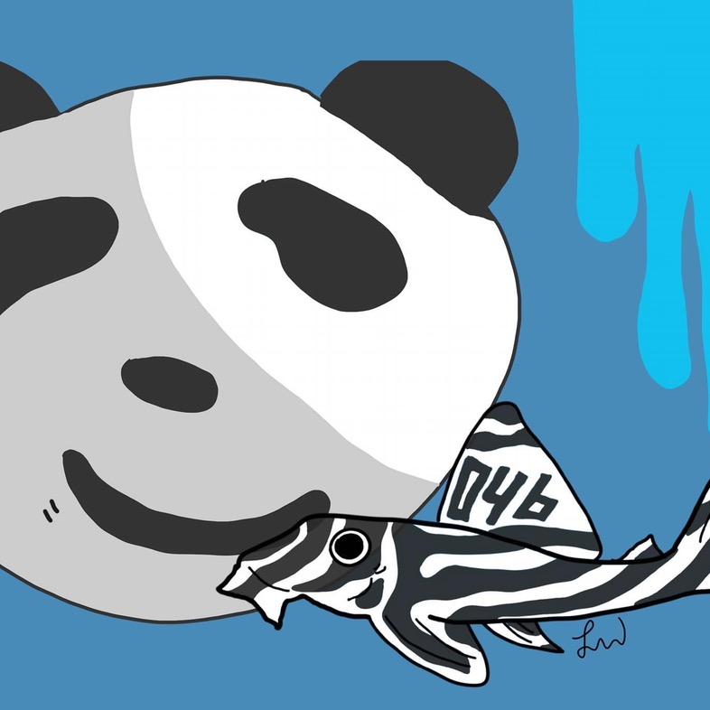 丁丁养鱼日记