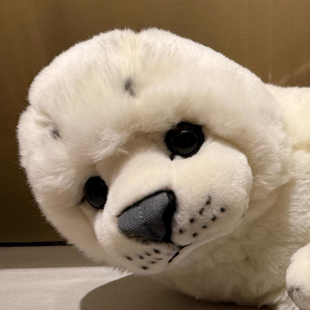 啰嗦的布丁粑粑