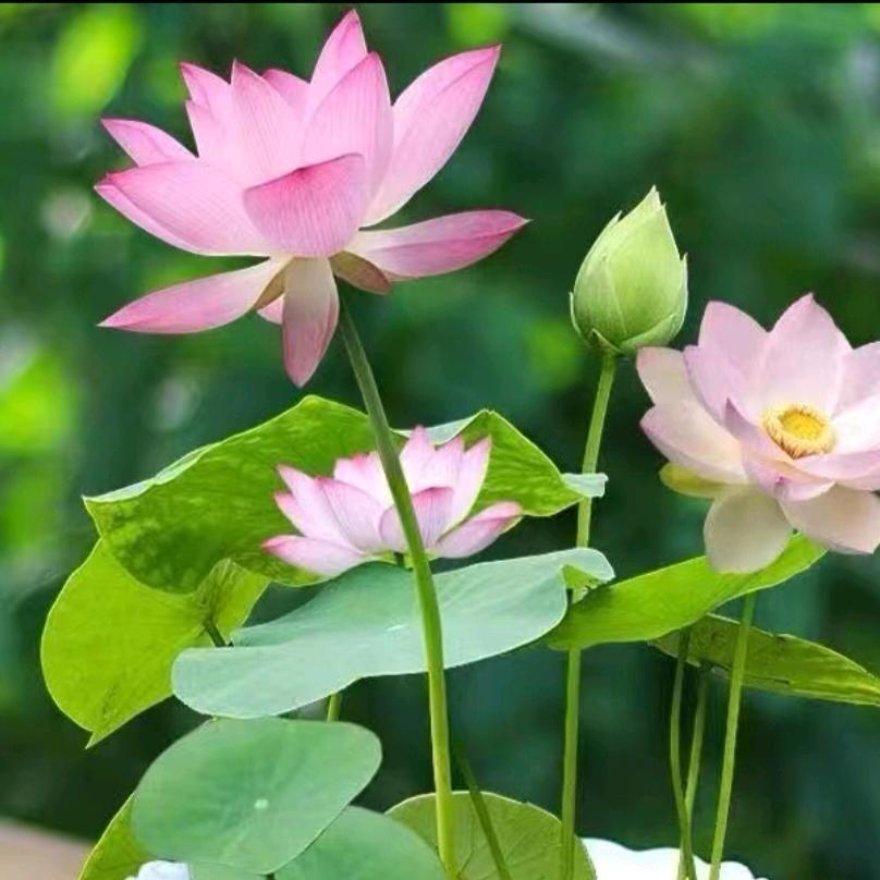@每一天
