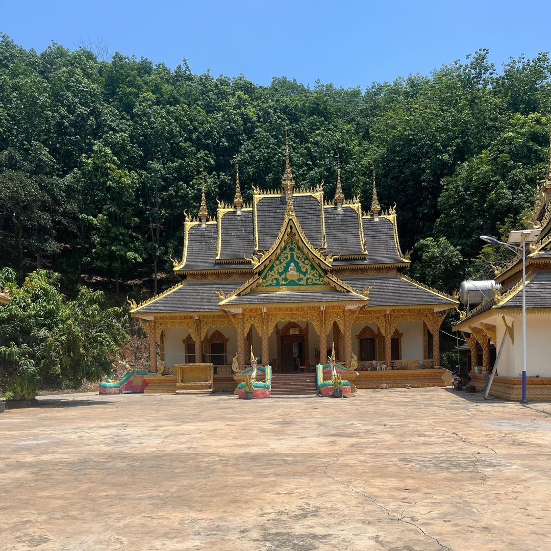 鼛鼛鼛