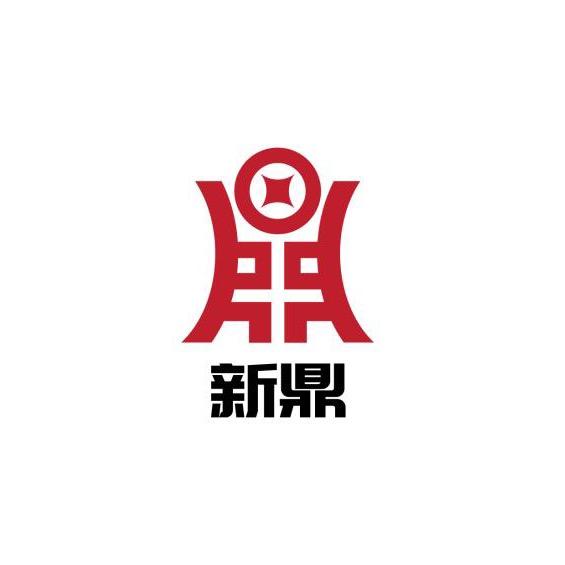 新鼎科技集团有限公司