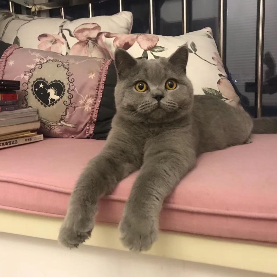 Oscar