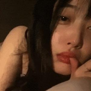 芝士猫🧀