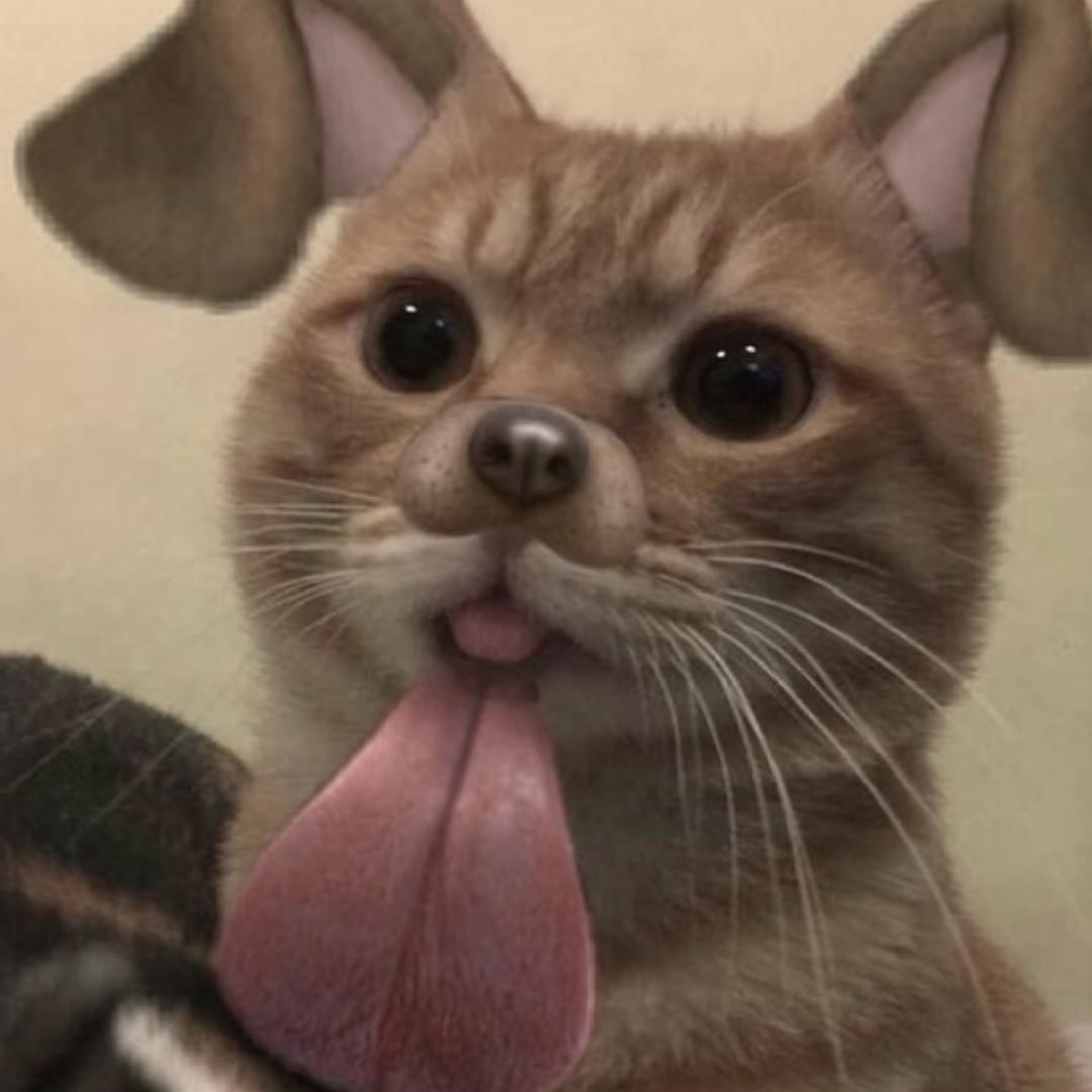 伤心结疤