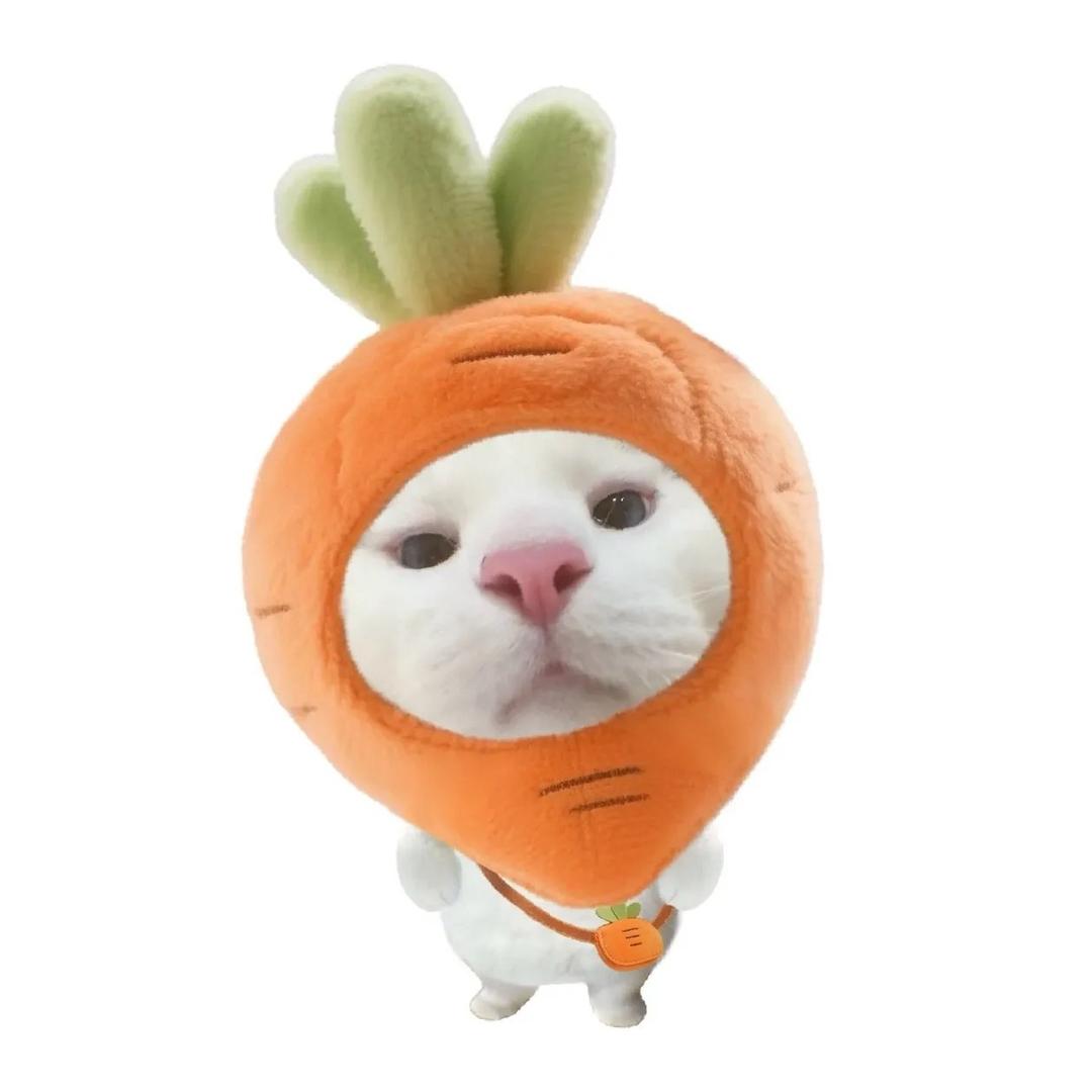 林信号