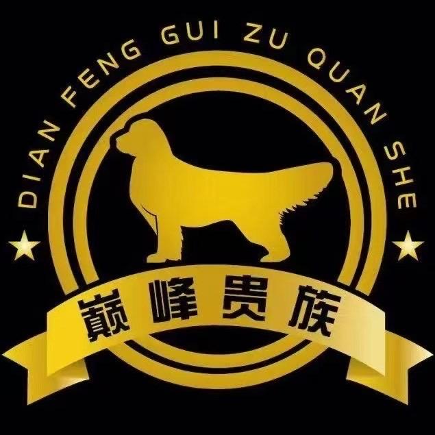 巅峰贵族🏅苍哥