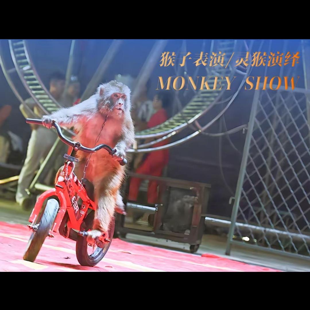 阿宇（全国巡游）