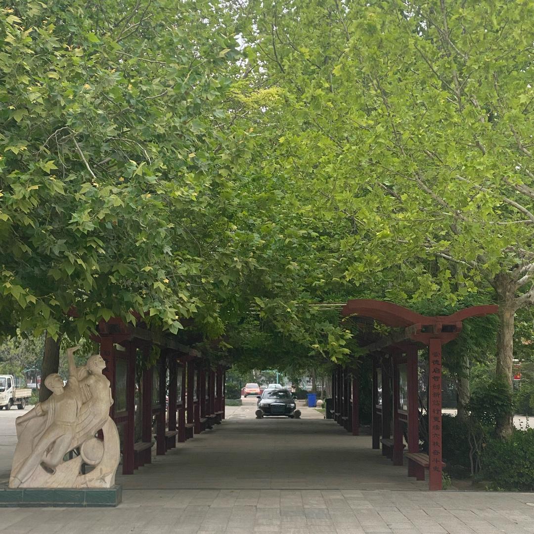 A岁月如歌