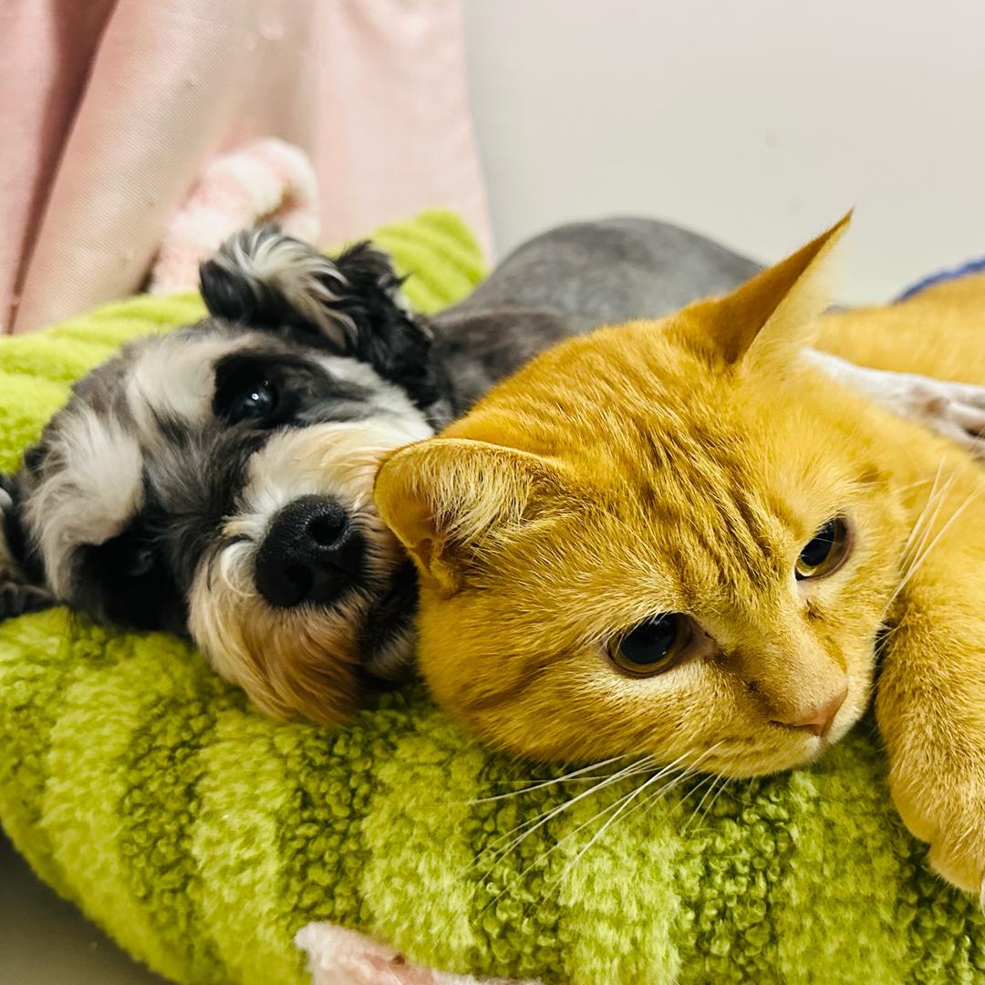 核桃🍑与发财💰的时光机