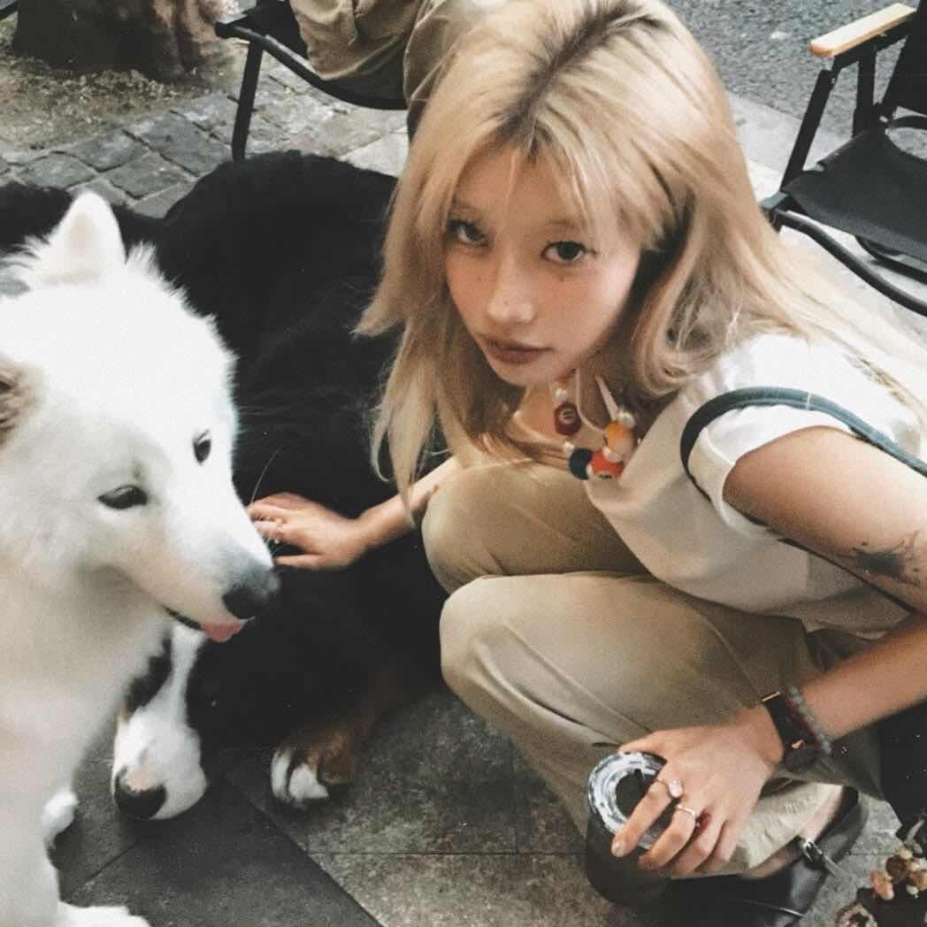 龍秀